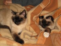 together for ever.jpg