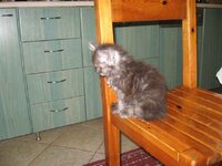 Εικόνα 454.jpg