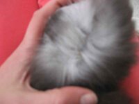 Εικόνα 460.jpg