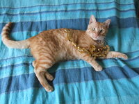 Μπόρχες3 001.jpg