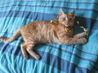 Μπόρχες3 003.jpg