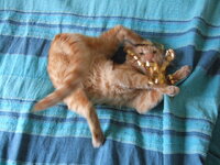 Μπόρχες3 004.jpg