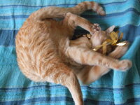 Μπόρχες3 007.jpg