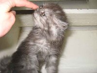 Εικόνα 453.jpg