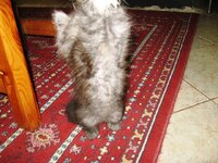 Εικόνα 457.jpg