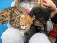 Εικόνα 515.jpg