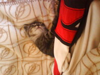 Εικόνα 002.jpg