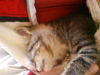 Εικόνα 005.jpg