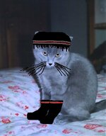 Fidel κρητικός.jpg