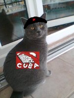 Fidel κούβα.JPG