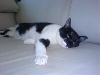 sony eric fotos 007.jpg