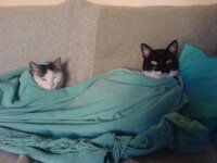 sony eric fotos 037.jpg