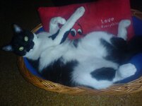 sony eric fotos 031.jpg