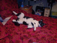 sony eric fotos 080.jpg