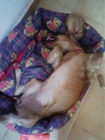 sony eric fotos 002.jpg