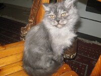 Εικόνα 524.jpg