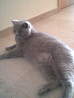 Ραισα εγκυος.jpg