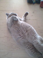 Ραίσα έγκυος.jpg