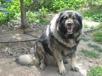 Εικόνα 505.jpg