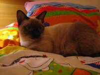 Εικόνα3 069.jpg