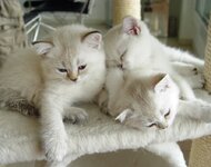 DSC05969 familie.jpg