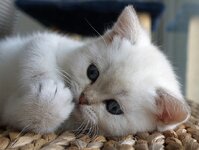 P6037921 peggy.jpg t.jpg