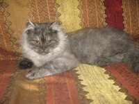 Εικόνα 560.jpg