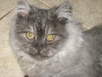 Εικόνα 565.jpg