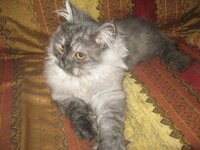 Εικόνα 562.jpg