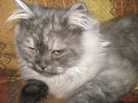 Εικόνα 561.jpg