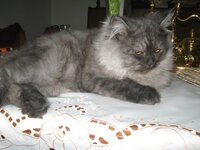 Εικόνα 579.jpg