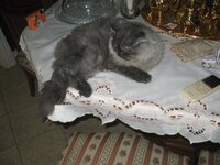 Εικόνα 580.jpg