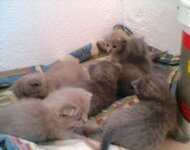 τα μωρά μας.jpg