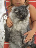 Εικόνα 635.jpg