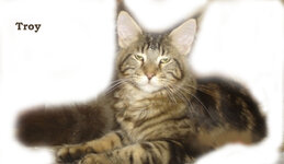 Ανώνυμο-1 αντίγραφο.jpg