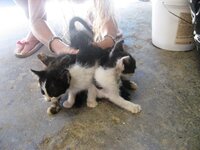 Εικόνα 705.jpg