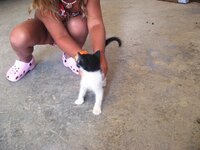 Εικόνα 710.jpg