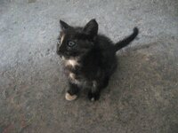 Εικόνα 711.jpg