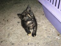 Εικόνα 712.jpg