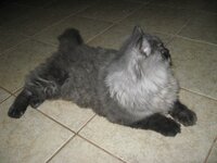 Εικόνα 713.jpg