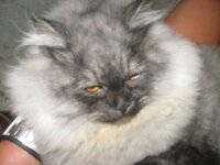 Εικόνα 714.jpg