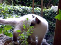 erws 16-8-08 (2).jpg