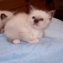 ερως μωρο 2.jpg