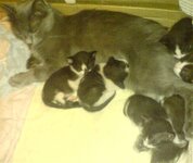 ολοι μαζι.jpg