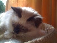 Ερως 30-8-08 (2).jpg