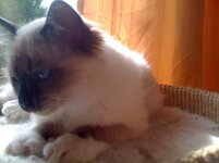 Ερως 30-8-08 (3).jpg