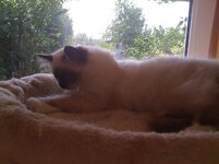 Ερως 30-8-08 (4).jpg