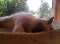 Ερως 30-8-08.jpg