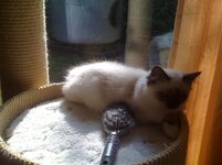 ερως 30-8-ο8.jpg