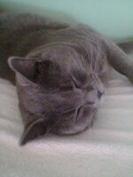 Φ κοιμάμαι.jpg